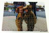 Web_puzzle_252-3