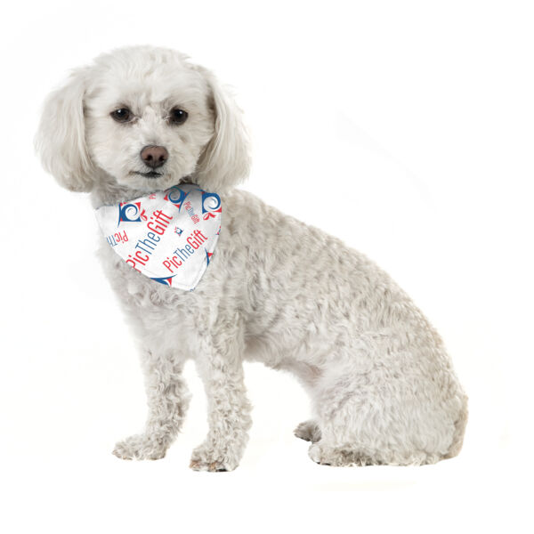 Small Pet Bandana Thumbnail