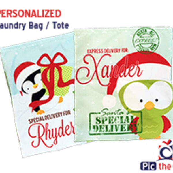 Drawstring Laundry Bag - 21.5" x 25" Thumbnail