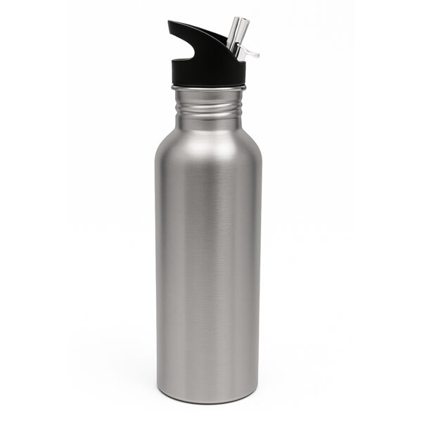 Bottle with Straw Top - Silver - 20oz Thumbnail